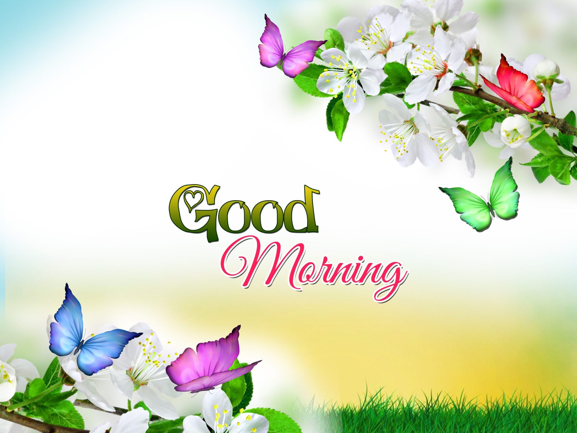Free Good Morning Wallpaper Picture
