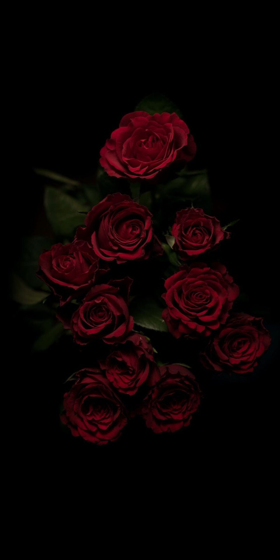 Aesthetics From my Camera Roll. Flowers black background, Rose wallpaper, Red roses wallpaper