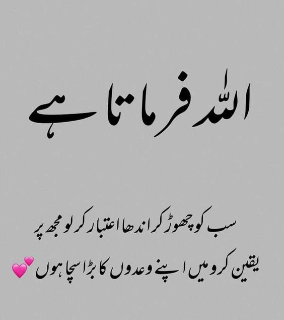 Islamic DP in Urdu